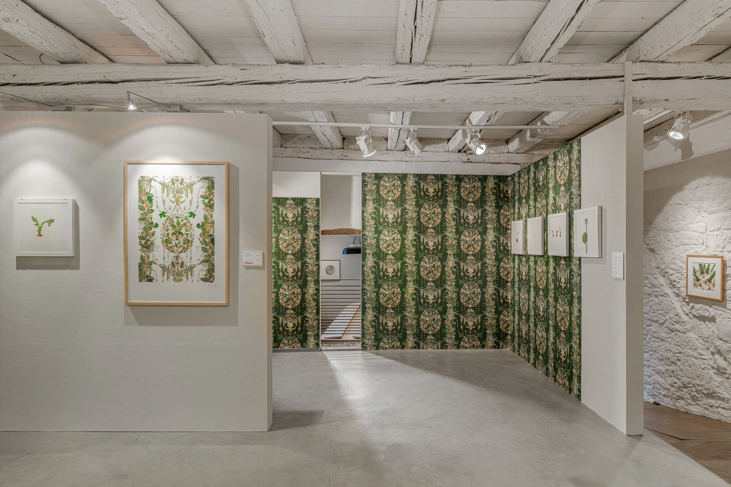 Ausstellung mit Pflanzenbildern und gemusterter Tapete im Forum Botanische Kunst
