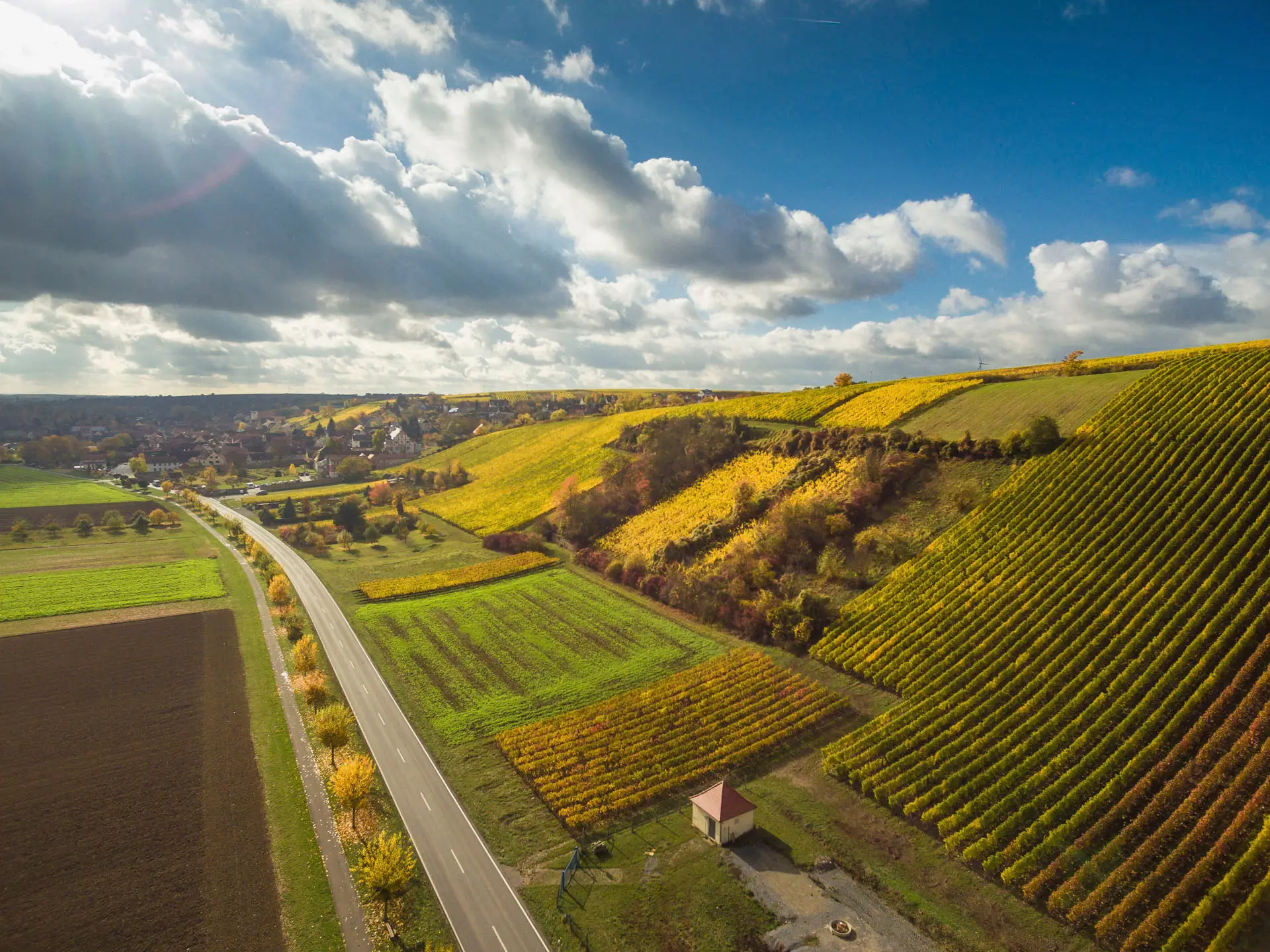 Weinberge des Weinguts Burrlein im Herbst aus der Luft