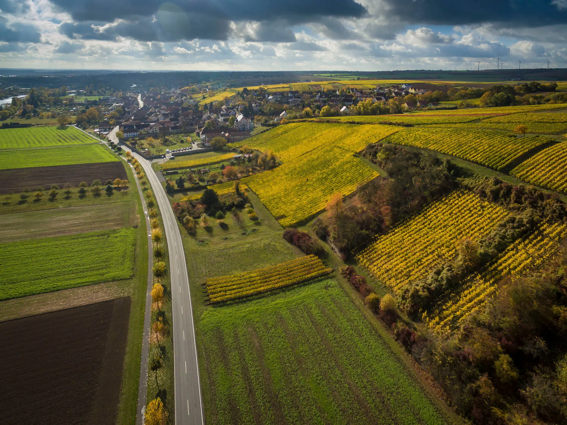 Landstraße zwischen herbstlichen Weinbergen, Luftaufnahme für das Weingut Burrlein