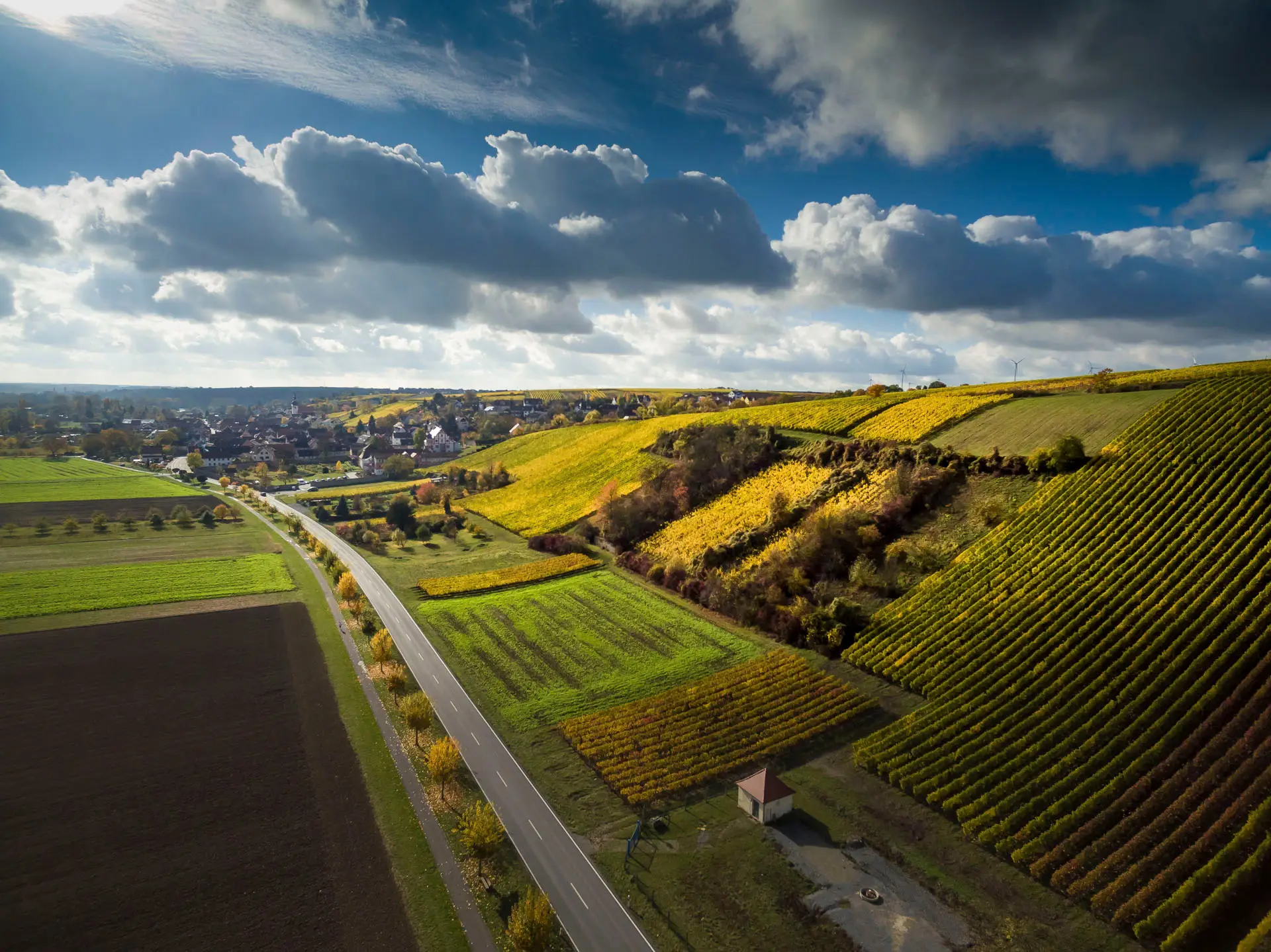 Weinberge im Herbst mit Landstraße, Luftaufnahme für das Weingut Burrlein